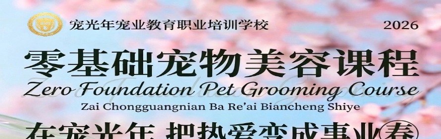 宠光年宠物美容师职业培训学校轮播2