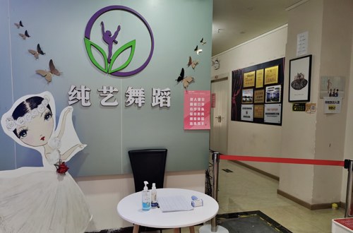广州纯艺舞蹈学校轮播4