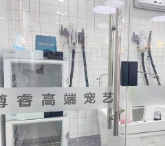 上海尊睿宠物美容培训学校轮播3