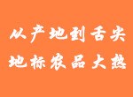 华农百灵电商学习资讯4