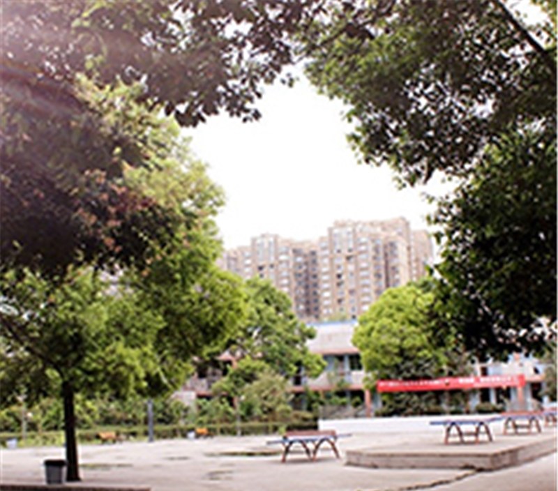 成都凡人音乐教育轮播2