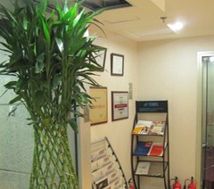 福州新通留学轮播4
