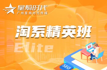 淘系店铺运营精英班