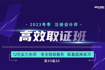 注册会计师高效取证班
