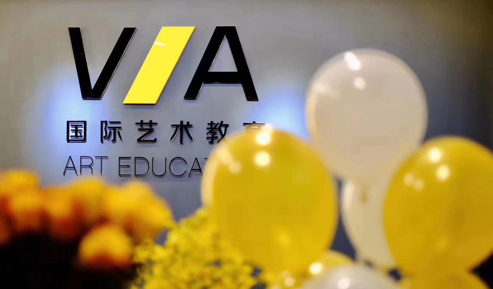 VA国际艺术留学相册4