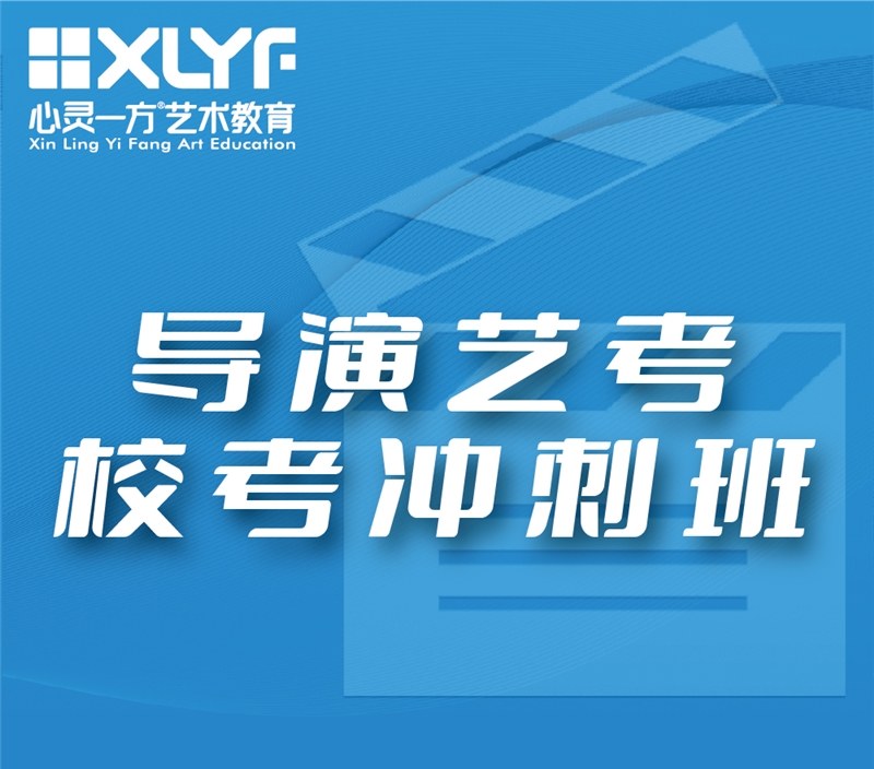 重庆导演高中艺考校考冲刺班