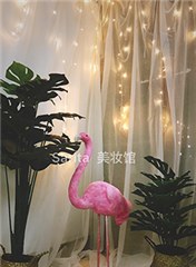广州Sarita美妆培训机构轮播3