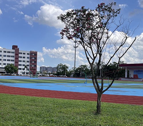 广州黄冈书院相册2
