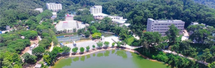 广东穗华培训学校