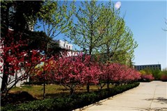 北京艾比琳高端婚礼策划学院轮播3