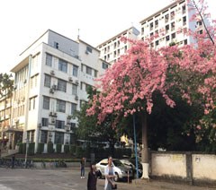华师外文相册2
