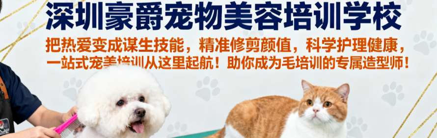 深圳豪爵宠物美容培训学校轮播1