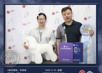 成都美匠宠物美容培训学校轮播4