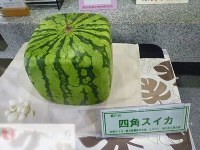 杭州新泽日语培训学校学习资讯2