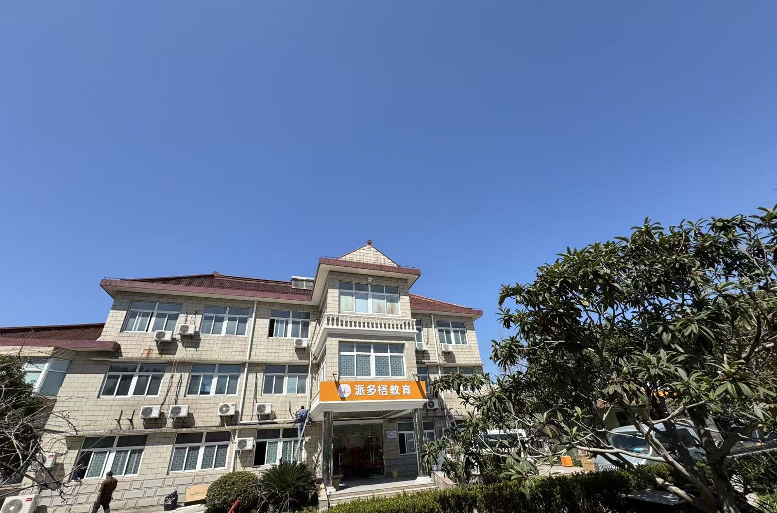 派多格宠物美容培训