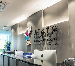 树华美术相册2