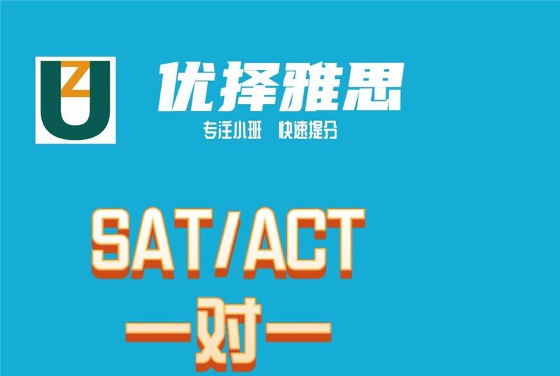 SAT/ACT一对一培训班