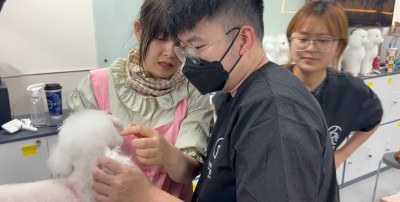 上海匠心宠物美容培训学校轮播3