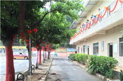 广州粤安驾校轮播3