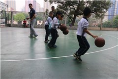 广州篮徒特训