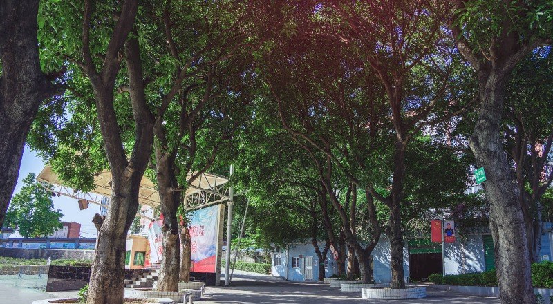 广州市高新医药与食品技工学校轮播4