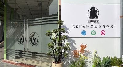 深圳豪爵宠物美容培训学校轮播5