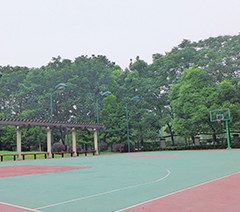 杭州核桃艺考培训中心轮播3