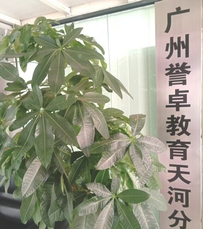 广州誉卓教育相册3