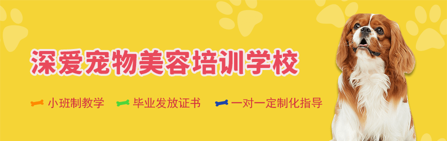 郑州深爱宠物美容培训学校轮播1