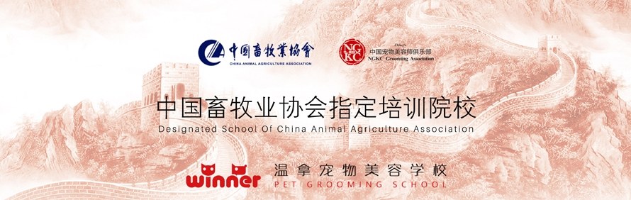 合肥温拿宠物美容学校轮播1