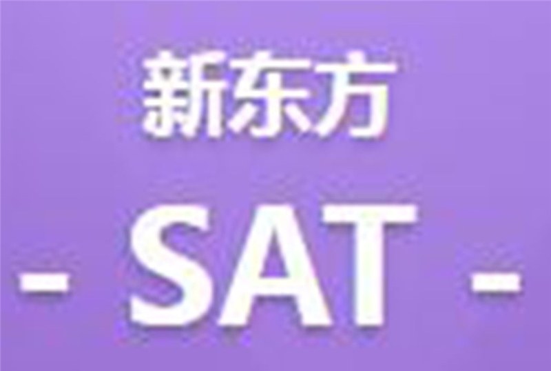 武汉SAT强化培训班