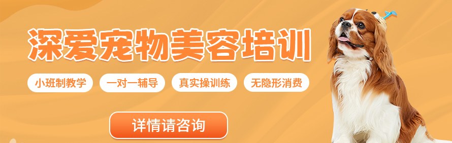 郑州深爱宠物美容培训学校轮播3