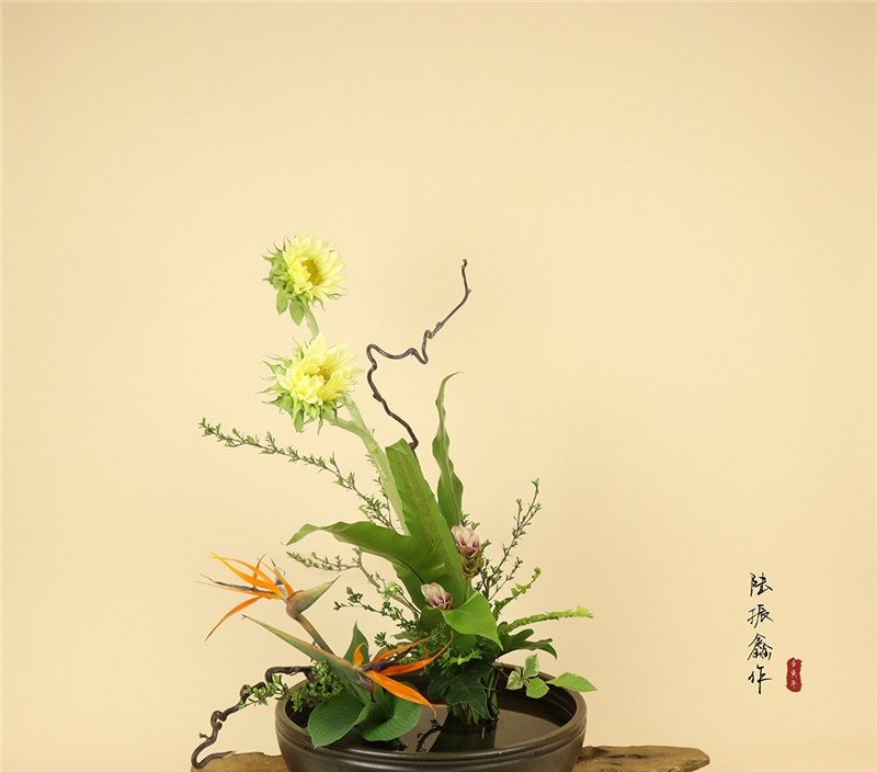 杭州牛爱花生活美学馆轮播3