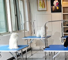 杭州谷艺宠物美容培训学校轮播5