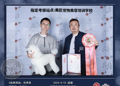 成都美匠宠物美容培训学校轮播5