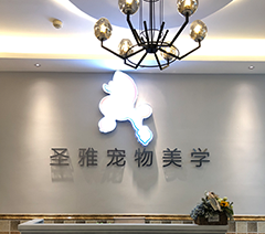 重庆圣雅宠物培训学院轮播3