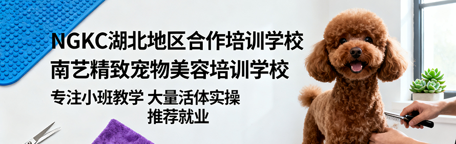 武汉南艺精致宠物美容培训学校轮播2