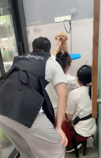上海涵菱宠美培训学校轮播3