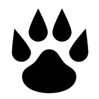 小白狐留学轮播1