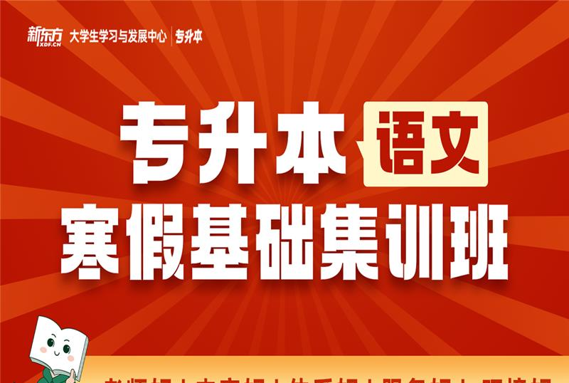 长沙专升本语文寒假基础培训班