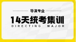 导演专业14天统考培训课程