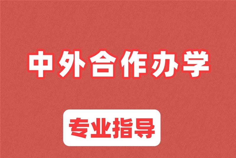 长沙中外合作办学4+0/3+1/2+2学校申请服务
