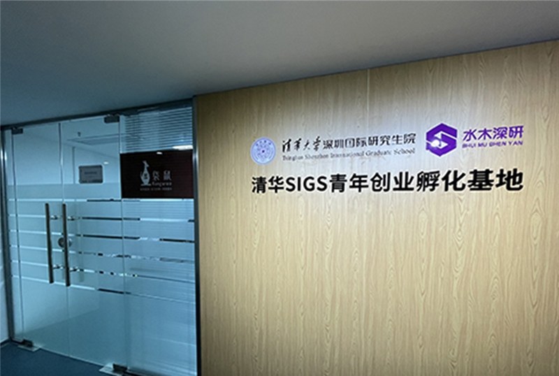 深圳IC帝国理工学院本科直录服务