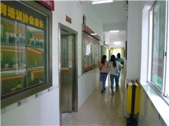 佛山致用学校轮播3