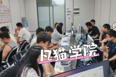 凡猫教育学习资讯6