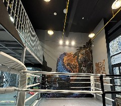 武汉华林功夫会馆相册4