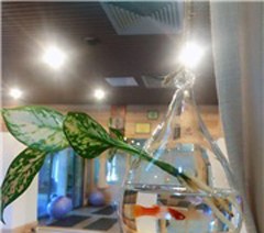 厦门衡衍瑜伽学院轮播1