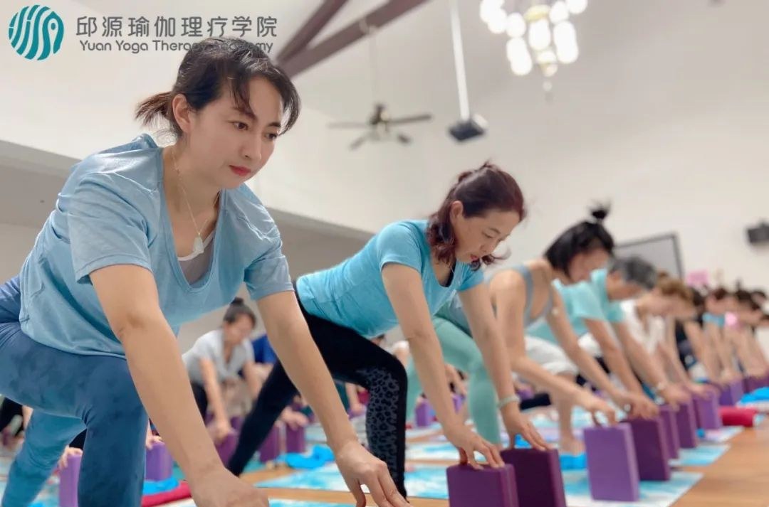 邱源瑜伽理疗学院相册3