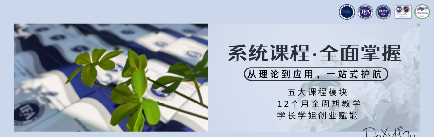 希黎桠国际芳疗学校轮播1
