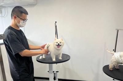 重庆遇TA宠艺宠物美容培训学校轮播3
